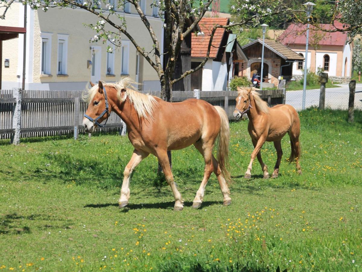 Gschwendnerhof Reitberger-Brandl Βίλα Röhrnbach Εξωτερικό φωτογραφία